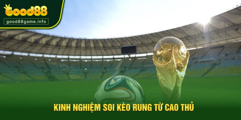 Kinh nghiệm hay từ cao thủ để soi kèo cược rung