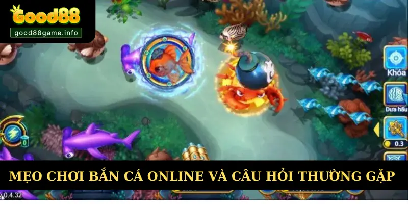 Mẹo chơi bắn cá online và các câu hỏi thường gặp