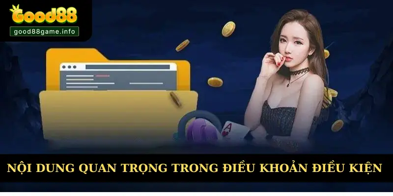 Nội dung quan trọng phải nắm trong điều khoản và điều kiện