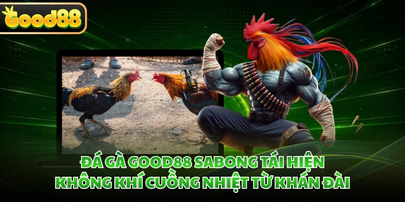 Đá gà GOOD88 Sabong tái hiện không khí cuồng nhiệt từ khán đài
