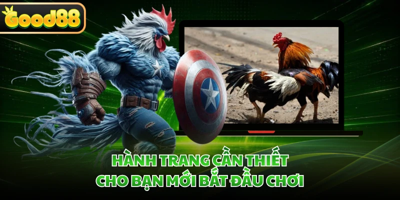Đá Gà Thomo GOOD88 - Khơi Dậy Đam Mê Qua Những Trận Nảy Lửa 4 Hành trang cần thiết cho bạn mới bắt đầu chơi