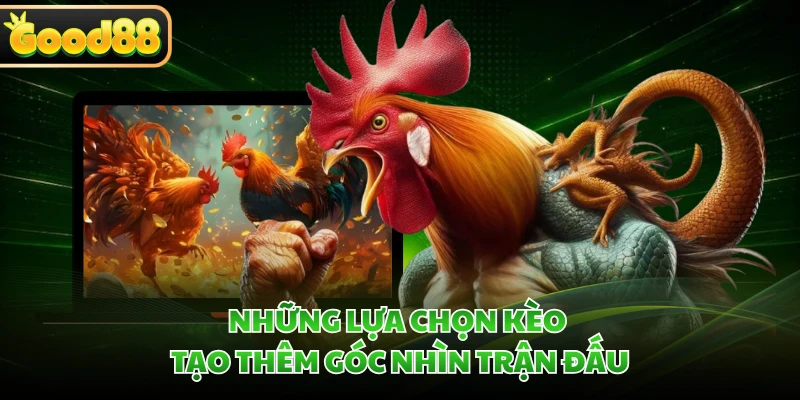Đá Gà Cựa Dao GOOD88 - Khám Phá Trường Đấu Và Luật Chơi 3 Những lựa chọn kèo tạo thêm góc nhìn trận đấu